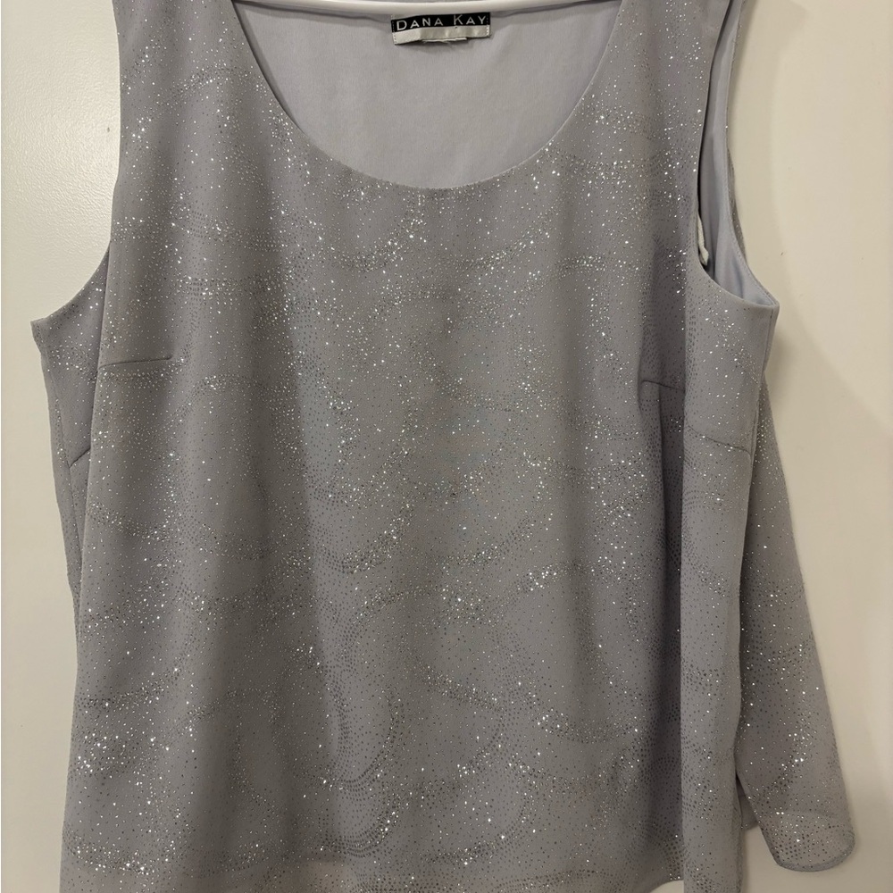 Dana Kay Silver Sequin Sleeveless Tank Top